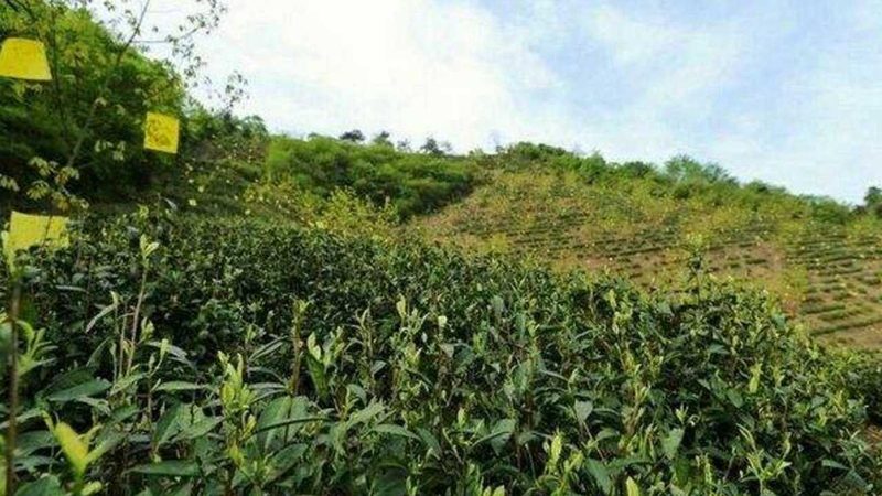 生鲜配送仓库管理员：如何高效处理异常库存